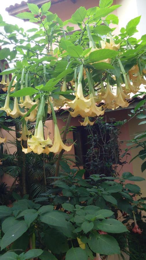 Eco Pousada Jardim Do Eden Alto Paraíso de Goiás 外观 照片