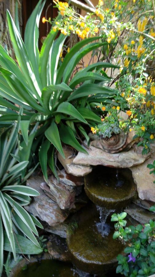 Eco Pousada Jardim Do Eden Alto Paraíso de Goiás 外观 照片