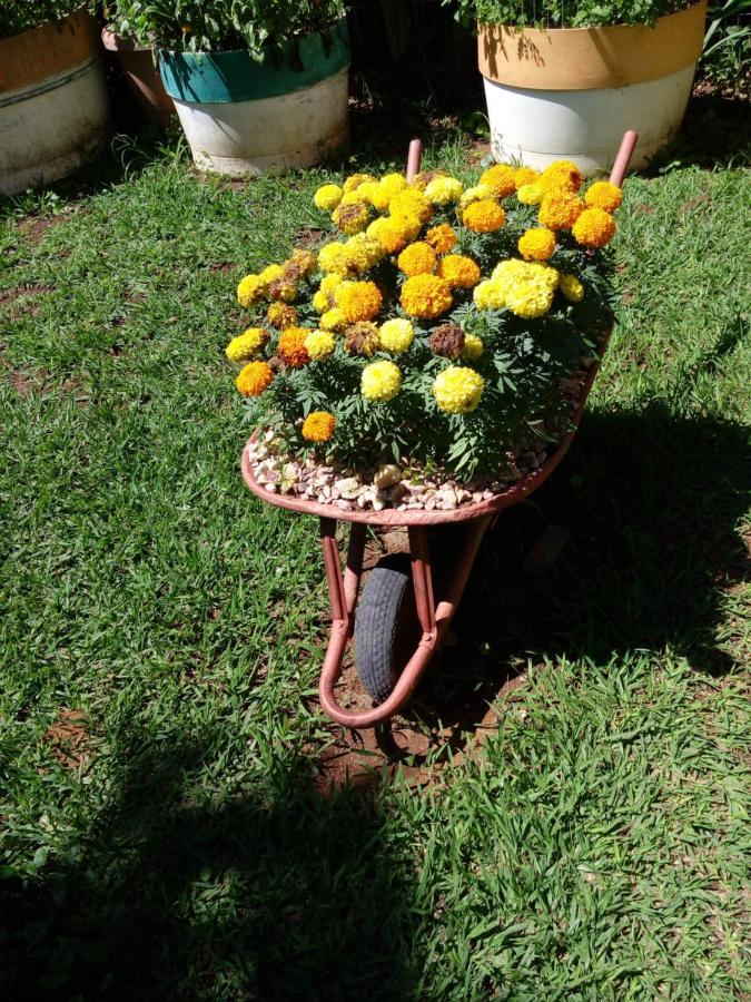 Eco Pousada Jardim Do Eden Alto Paraíso de Goiás 外观 照片