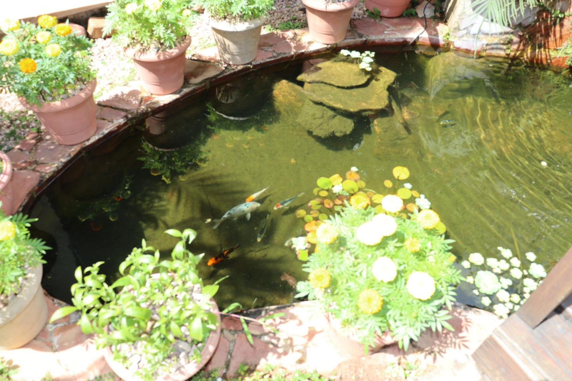 Eco Pousada Jardim Do Eden Alto Paraíso de Goiás 外观 照片