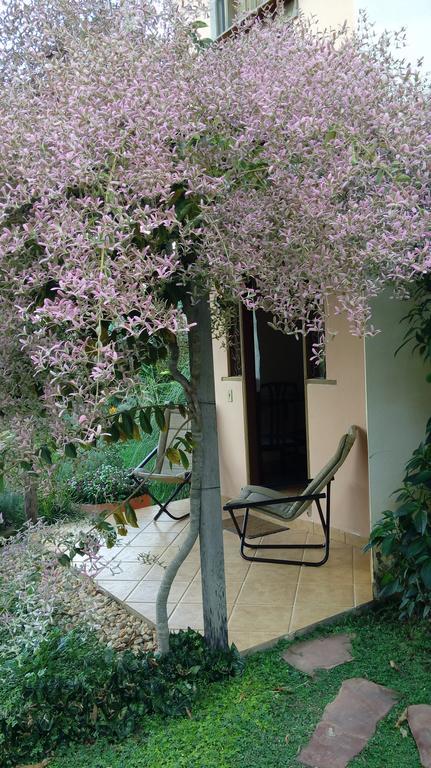 Eco Pousada Jardim Do Eden Alto Paraíso de Goiás 外观 照片